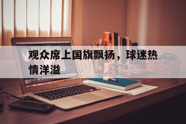 关于观众席上国旗飘扬，球迷热情洋溢的信息
